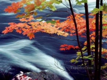 Pintura de río de hojas de arce rojo de las fotos al arte Pinturas al óleo